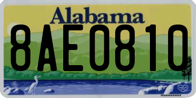 AL license plate 8AE0810