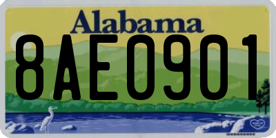 AL license plate 8AE0901