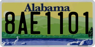 AL license plate 8AE1101