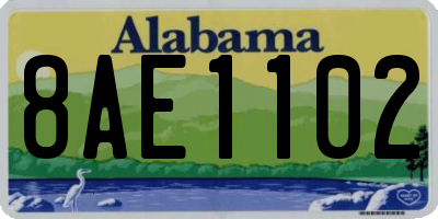 AL license plate 8AE1102