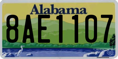 AL license plate 8AE1107
