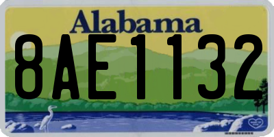 AL license plate 8AE1132