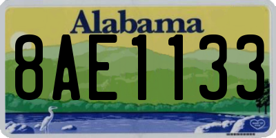 AL license plate 8AE1133