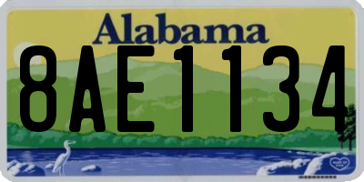 AL license plate 8AE1134