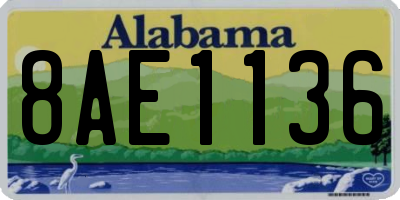 AL license plate 8AE1136