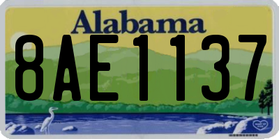 AL license plate 8AE1137