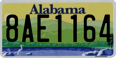 AL license plate 8AE1164