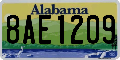 AL license plate 8AE1209