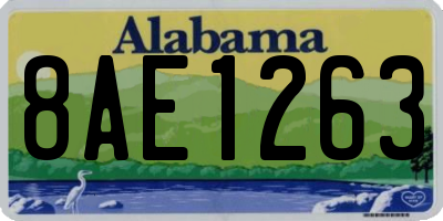 AL license plate 8AE1263