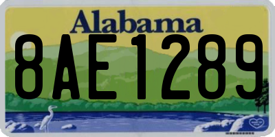 AL license plate 8AE1289