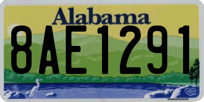 AL license plate 8AE1291