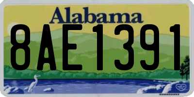 AL license plate 8AE1391