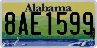 AL license plate 8AE1599
