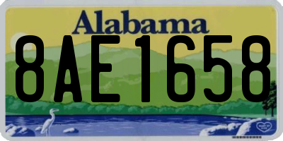 AL license plate 8AE1658