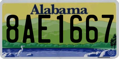 AL license plate 8AE1667