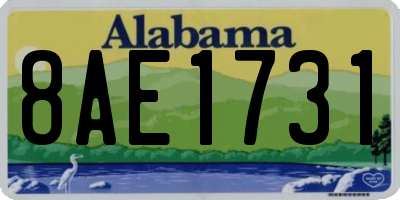 AL license plate 8AE1731