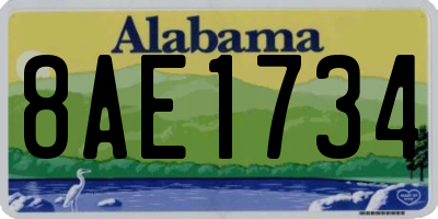 AL license plate 8AE1734