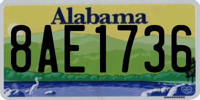 AL license plate 8AE1736