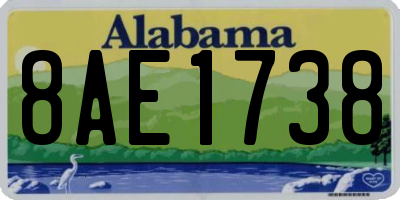 AL license plate 8AE1738
