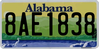 AL license plate 8AE1838