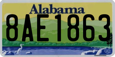 AL license plate 8AE1863