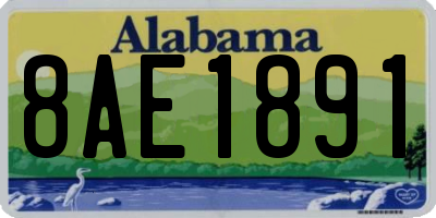 AL license plate 8AE1891