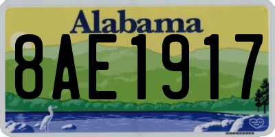 AL license plate 8AE1917