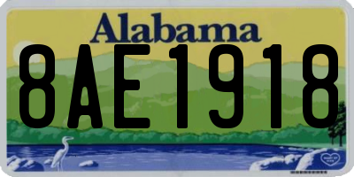 AL license plate 8AE1918