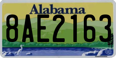 AL license plate 8AE2163