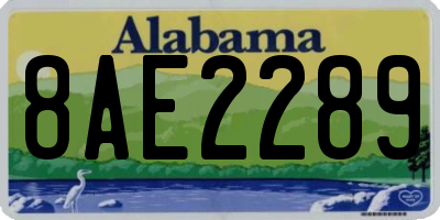 AL license plate 8AE2289