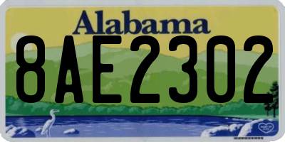 AL license plate 8AE2302