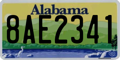 AL license plate 8AE2341
