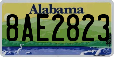 AL license plate 8AE2823
