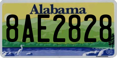 AL license plate 8AE2828