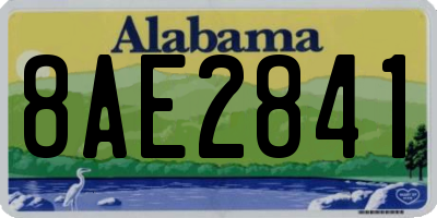 AL license plate 8AE2841