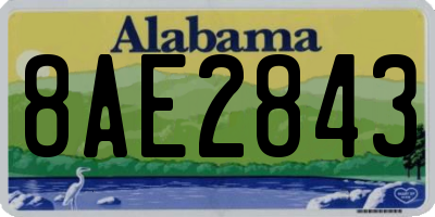 AL license plate 8AE2843