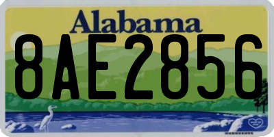 AL license plate 8AE2856