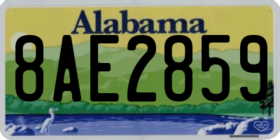 AL license plate 8AE2859