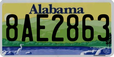AL license plate 8AE2863