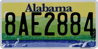 AL license plate 8AE2884