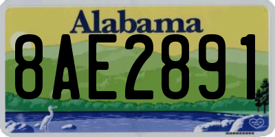AL license plate 8AE2891