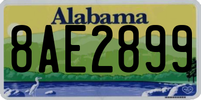 AL license plate 8AE2899