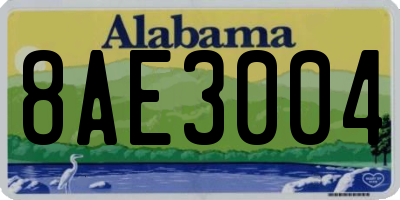 AL license plate 8AE3004