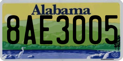 AL license plate 8AE3005