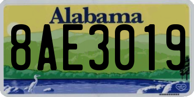 AL license plate 8AE3019
