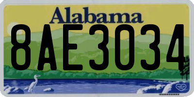 AL license plate 8AE3034