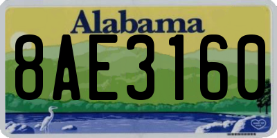 AL license plate 8AE3160