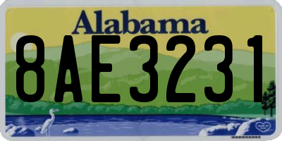 AL license plate 8AE3231