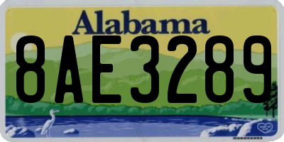 AL license plate 8AE3289