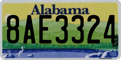 AL license plate 8AE3324